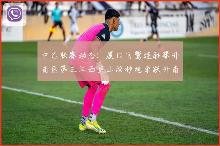 中乙联赛动态：厦门飞鹭连胜攀升南区第三江西庐山读秒绝杀跃升南区第四